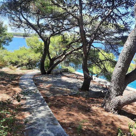 Apartments Polic Primošten Kültér fotó