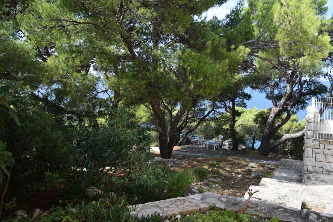 Apartments Polic Primošten Kültér fotó