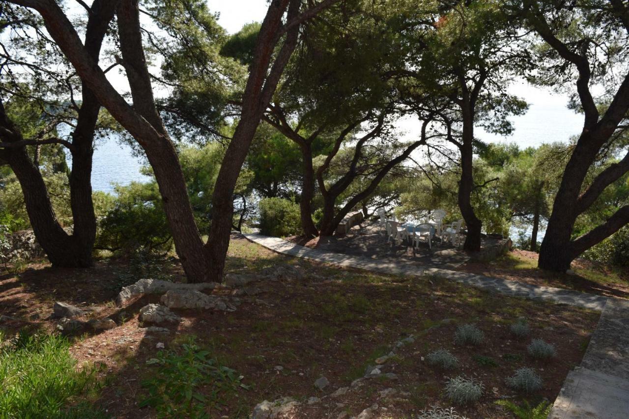 Apartments Polic Primošten Kültér fotó